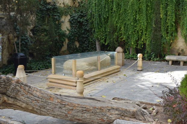 53766649_2078669805556178_4574990084138336256_n